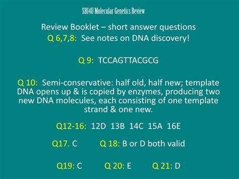 Sbi4u Molecular Genetics Review Questions Author Laurenz Schierokauer from git. . Sbi4u molecular genetics review